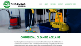 What Pacecleaning.com.au website looked like in 2019 (4 years ago)