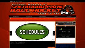 What Parkballhockey.ca website looked like in 2019 (4 years ago)