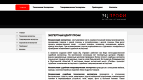 What Profiexp.ru website looked like in 2019 (4 years ago)