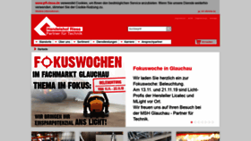 What Pft-riesa.de website looked like in 2019 (4 years ago)