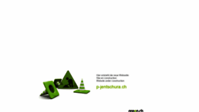 What P-jentschura.ch website looked like in 2019 (4 years ago)