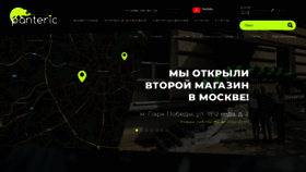 What Panteric.ru website looked like in 2019 (4 years ago)