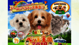 What Pet-oukoku.jp website looked like in 2019 (4 years ago)