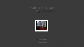 What Paulschilliger.com website looked like in 2019 (4 years ago)
