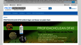 What Profidachclean.de website looked like in 2019 (4 years ago)