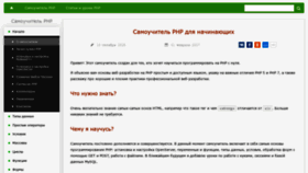 What Programulin.ru website looked like in 2019 (4 years ago)