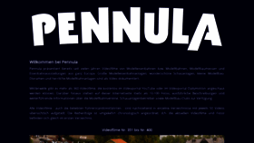 What Pennula.com website looked like in 2019 (4 years ago)