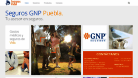 What Pueblagnp.com website looked like in 2019 (4 years ago)
