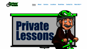 What Professorpedals.com website looked like in 2019 (4 years ago)