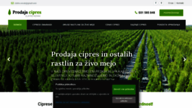 What Prodaja-cipres.com website looked like in 2019 (4 years ago)