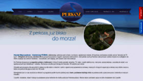What Perkoz.com website looked like in 2019 (4 years ago)