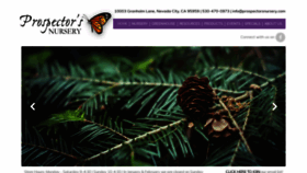 What Prospectorsnursery.com website looked like in 2019 (4 years ago)