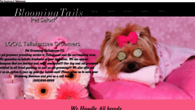 What Petgroomingtallahasseefl.com website looked like in 2019 (4 years ago)
