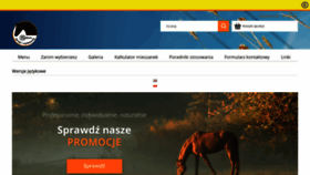 What Podkowa.eu website looked like in 2019 (4 years ago)
