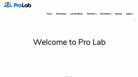 What Prolab.in website looked like in 2019 (4 years ago)