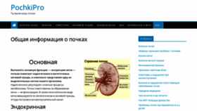 What Pochkipro.ru website looked like in 2019 (4 years ago)