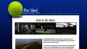 What Pineislandrc.com website looked like in 2019 (4 years ago)