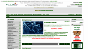 What Pelenkaonline.hu website looked like in 2019 (4 years ago)