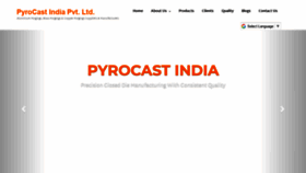 What Pyrocastindia.com website looked like in 2019 (4 years ago)