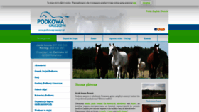 What Podkowagruszczyn.pl website looked like in 2019 (4 years ago)