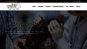 What Plazavethospital.com website looked like in 2019 (4 years ago)