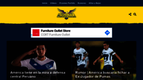 What Pasionaguila.com website looked like in 2019 (4 years ago)