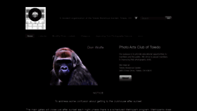 What Photoartscluboftoledo.com website looked like in 2019 (4 years ago)