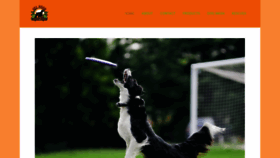 What Petfoodgonewild.com website looked like in 2019 (4 years ago)