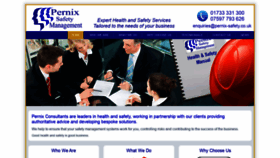 What Pernix-safety.co.uk website looked like in 2019 (4 years ago)