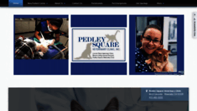 What Pedleysquarevet.com website looked like in 2019 (4 years ago)