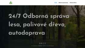 What Poloncek.cz website looked like in 2019 (4 years ago)