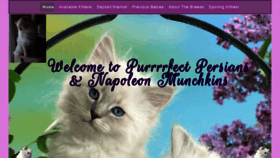 What Purrrrfectpersians-napoleonmunchkins.com website looked like in 2019 (4 years ago)
