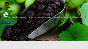 What Persianraisins.ir website looked like in 2019 (4 years ago)