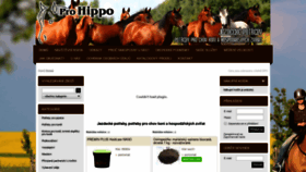 What Prohippo.com website looked like in 2019 (5 years ago)
