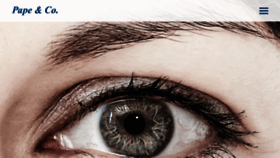 What Pape-co.de website looked like in 2019 (6 years ago)