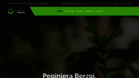 What Pepinieraberzoi.ro website looked like in 2019 (4 years ago)