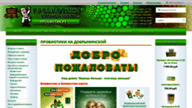 What Probiotic.ru website looked like in 2019 (4 years ago)