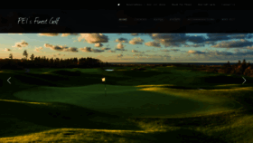 What Peisfinestgolf.com website looked like in 2019 (4 years ago)