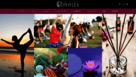 What Phylex.jp website looked like in 2019 (4 years ago)