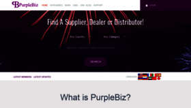 What Purplebiz.net website looked like in 2019 (4 years ago)