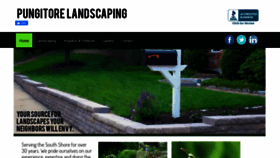 What Pungitorelandscaping.com website looked like in 2019 (4 years ago)