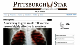 What Pittsburghstar.com website looked like in 2020 (4 years ago)