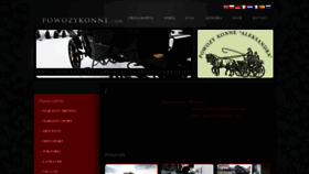 What Powozykonne.com website looked like in 2020 (4 years ago)
