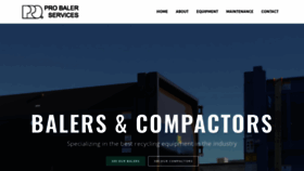 What Probaler.com website looked like in 2020 (4 years ago)