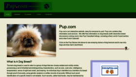 What Pup.com website looked like in 2020 (4 years ago)