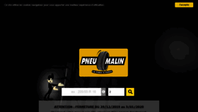 What Pneumalin.com website looked like in 2020 (4 years ago)