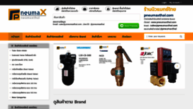 What Pneumaxthai.com website looked like in 2020 (4 years ago)