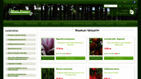 What Palmi.bg website looked like in 2020 (4 years ago)