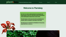 What Plantekey.com website looked like in 2020 (6 years ago)