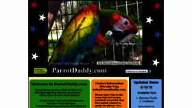 What Parrotdaddy.com website looked like in 2020 (4 years ago)